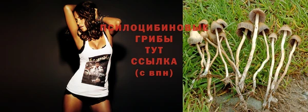 бошки Белоозёрский