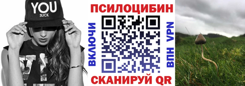 Псилоцибиновые грибы GOLDEN TEACHER  купить наркотик  Володарск 